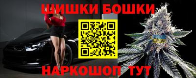 индика Мариинск