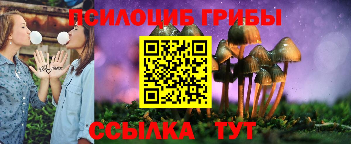 Галлюциногенные грибы прущие грибы Элиста